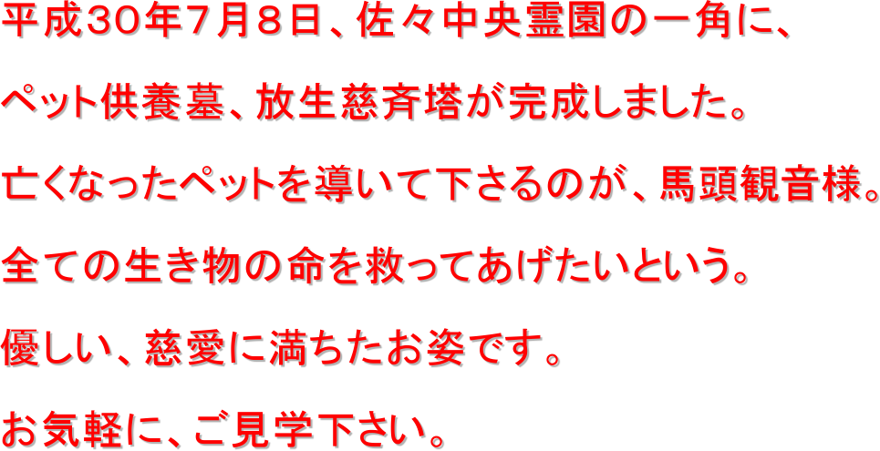 平成30年7月8日、佐々中央霊園の一角に、
ペット供養墓、放生慈斉塔が完成しました。
亡くなったペットを導いて下さるのが、馬頭観音様。
全ての生き物の命を救ってあげたいという。
優しい、慈愛に満ちたお姿です。
お気軽に、ご見学下さい。